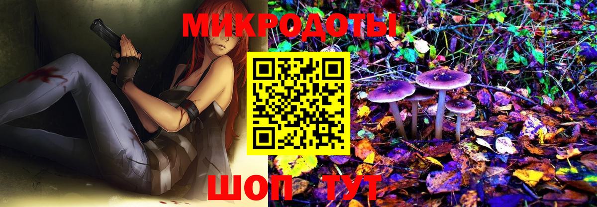 Псилоцибиновые грибы Psilocybe Белореченск